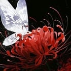 redspiderlilies's avatar